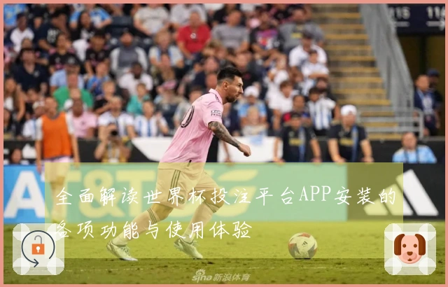 全面解读世界杯投注平台APP安装的各项功能与使用体验