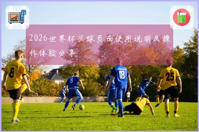 2026世界杯买球页面使用说明及操作体验分享