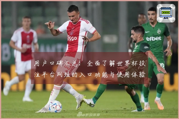 用户口碑汇总：全面了解世界杯投注平台网址的入口功能与使用体验