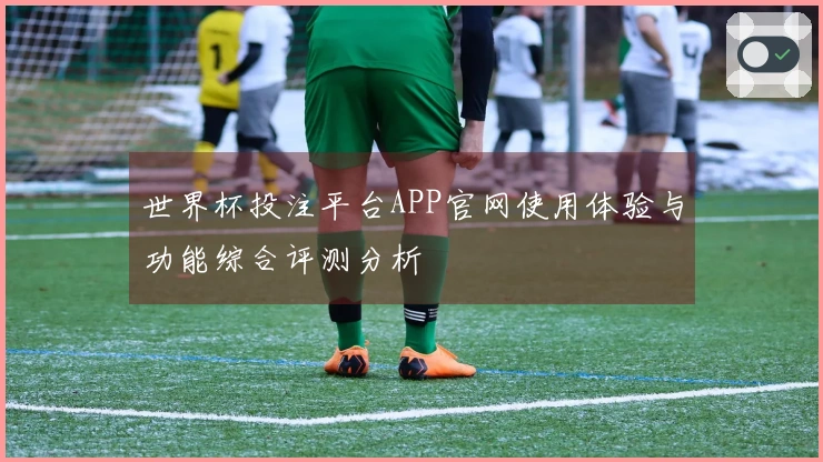 世界杯投注平台APP官网使用体验与功能综合评测分析