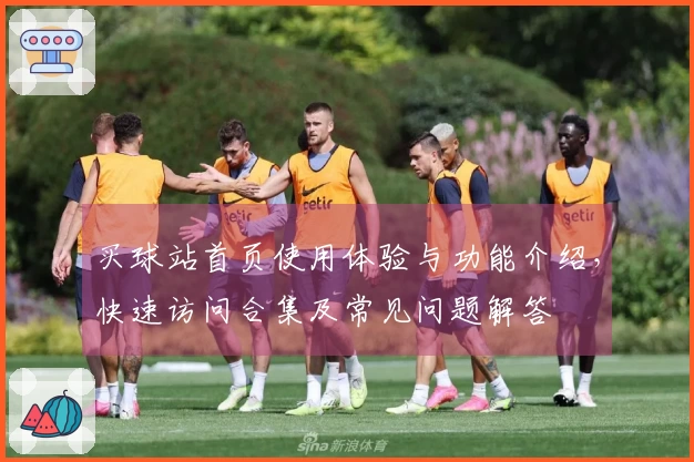买球站首页使用体验与功能介绍,快速访问合集及常见问题解答