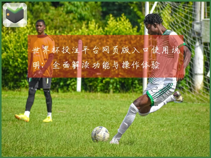 世界杯投注平台网页版入口使用说明：全面解读功能与操作体验