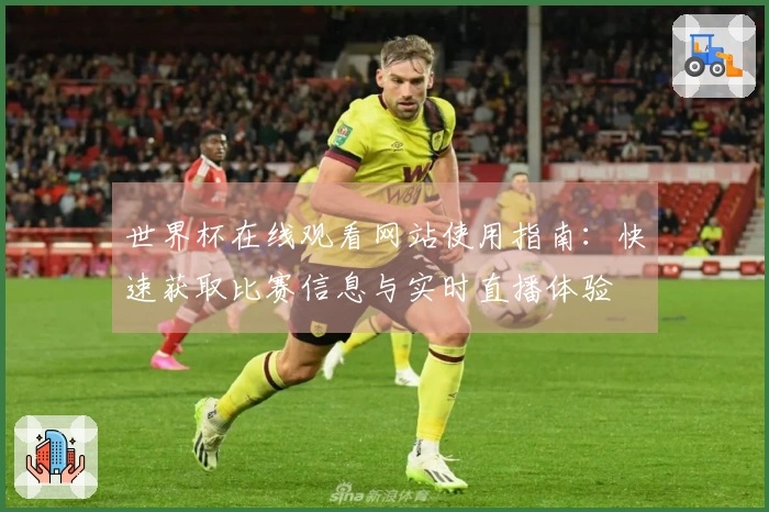 世界杯在线观看网站使用指南：快速获取比赛信息与实时直播体验