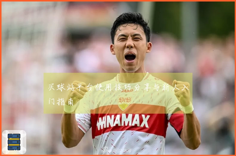 买球站平台使用技巧分享与新人入门指南