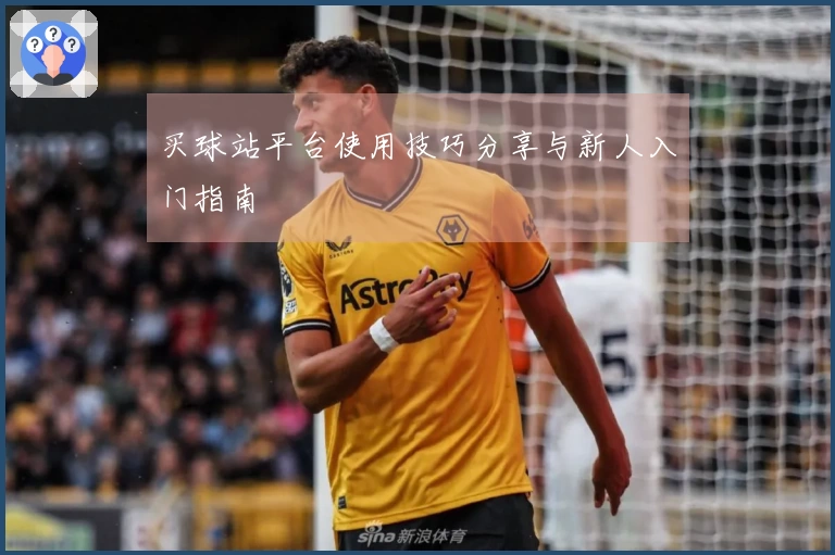 买球站平台使用技巧分享与新人入门指南