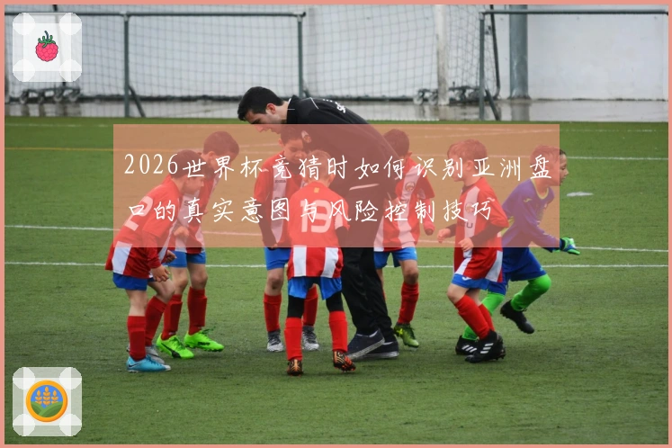 2026世界杯竞猜时如何识别亚洲盘口的真实意图与风险控制技巧