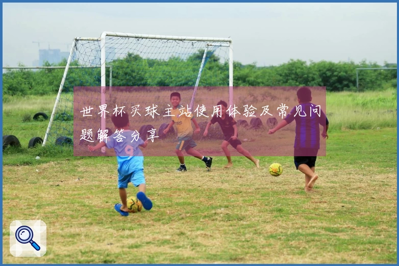 世界杯买球主站使用体验及常见问题解答分享