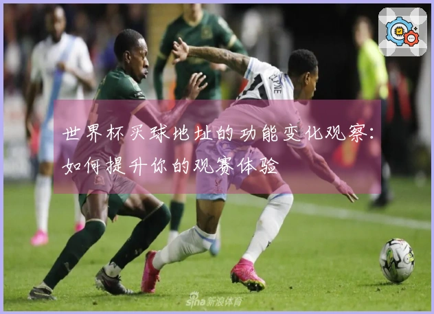 世界杯买球地址的功能变化观察：如何提升你的观赛体验