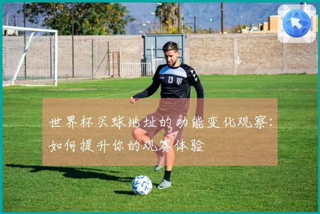 世界杯买球地址的功能变化观察：如何提升你的观赛体验