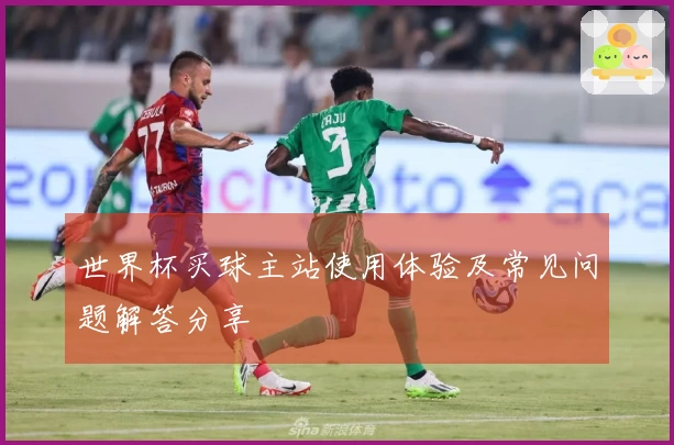 世界杯买球主站使用体验及常见问题解答分享